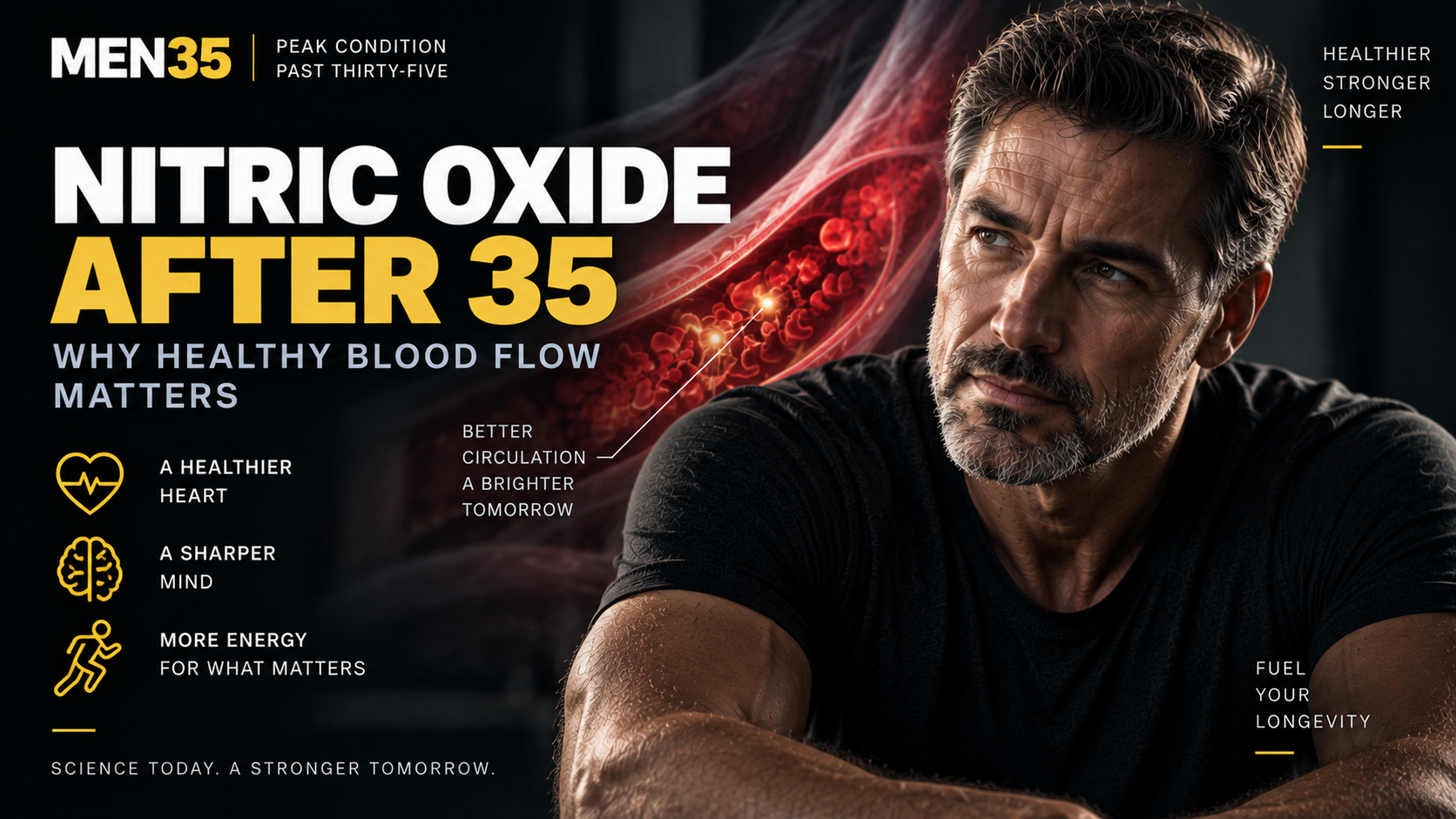 Nitric Oxide After 35: Why Healthy Blood Flow Matters